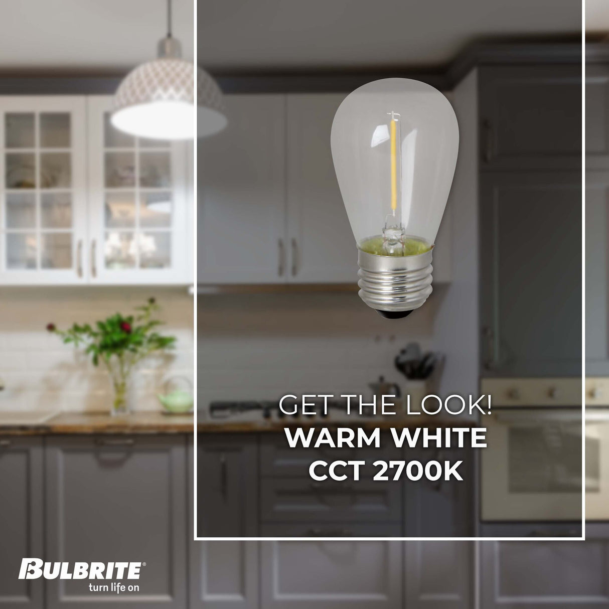 Bulbrite 776685, 0.7 Watt Clear Filament S14 Medium (E26) LED Light Bulb - 75 Lumens, 2700K