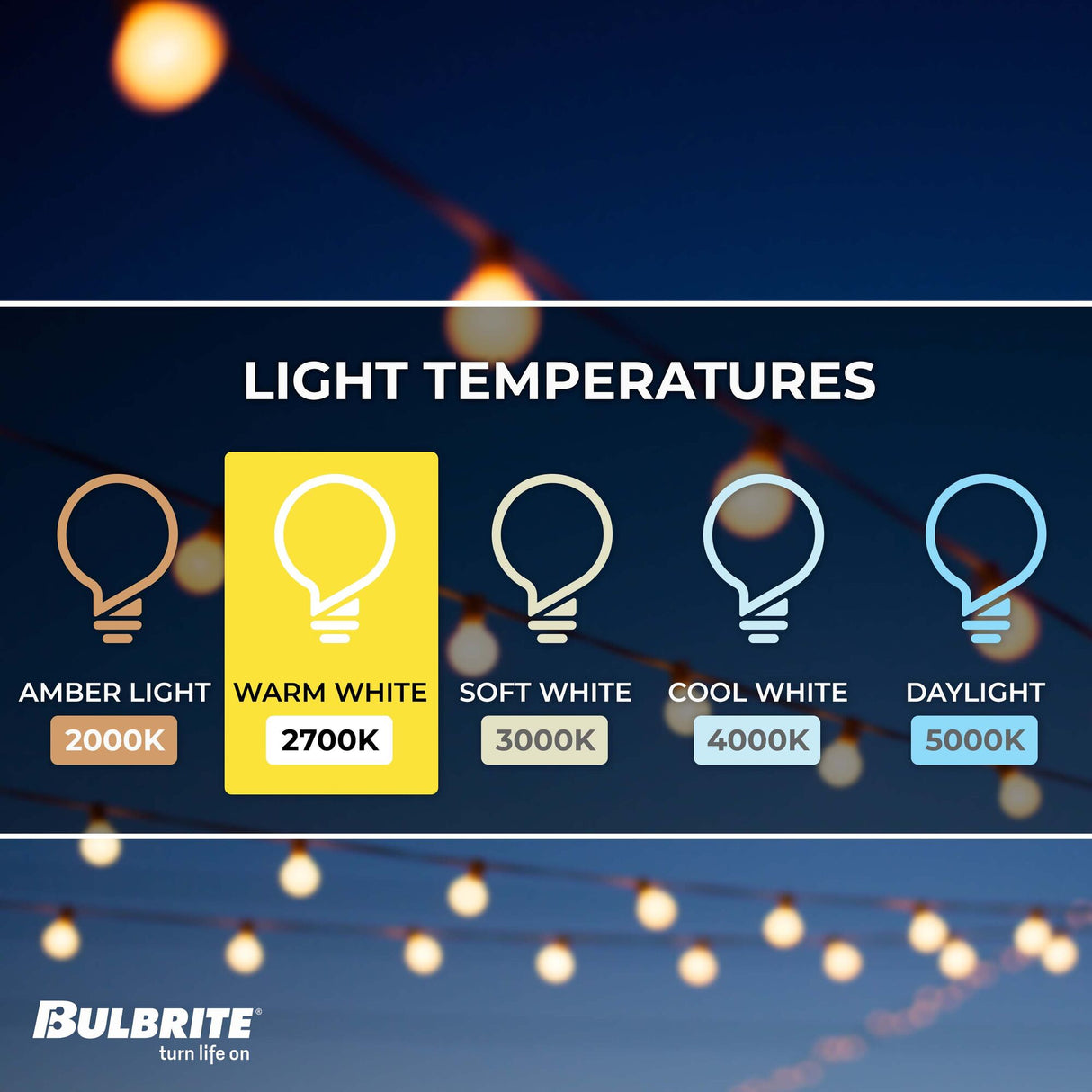 Bulbrite 810066 Indoor LED Starry String Lights-Multi (Plug-in) -Copper