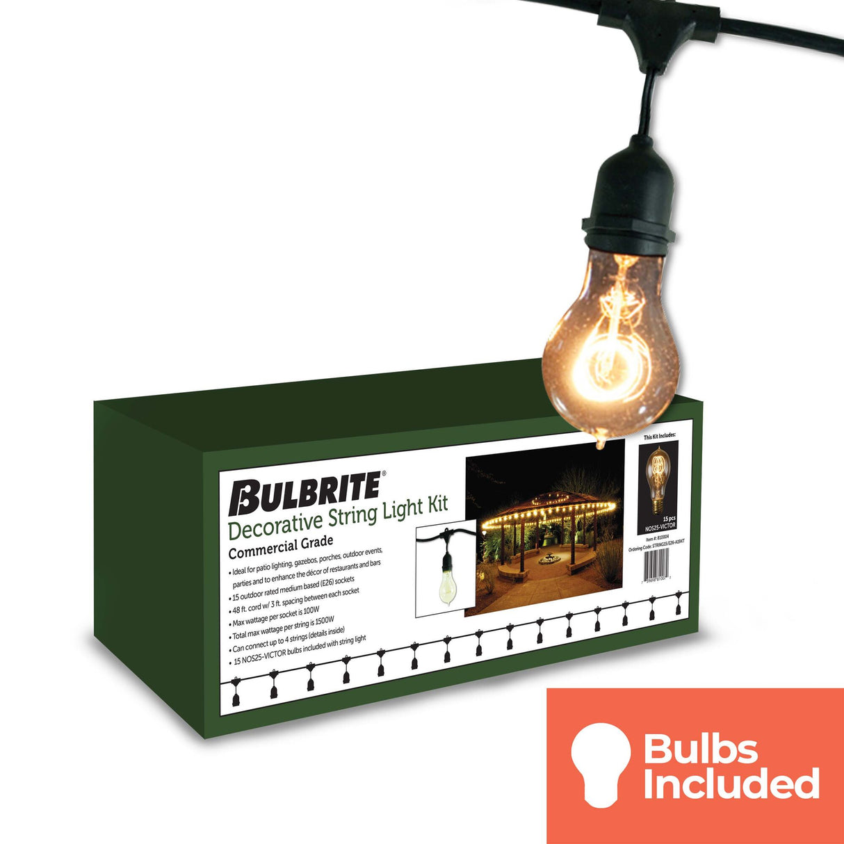 Bulbrite 810004, 48-foot String Light Kit with Nostalgic Loop Filament A19 Incandescent Light Bulbs