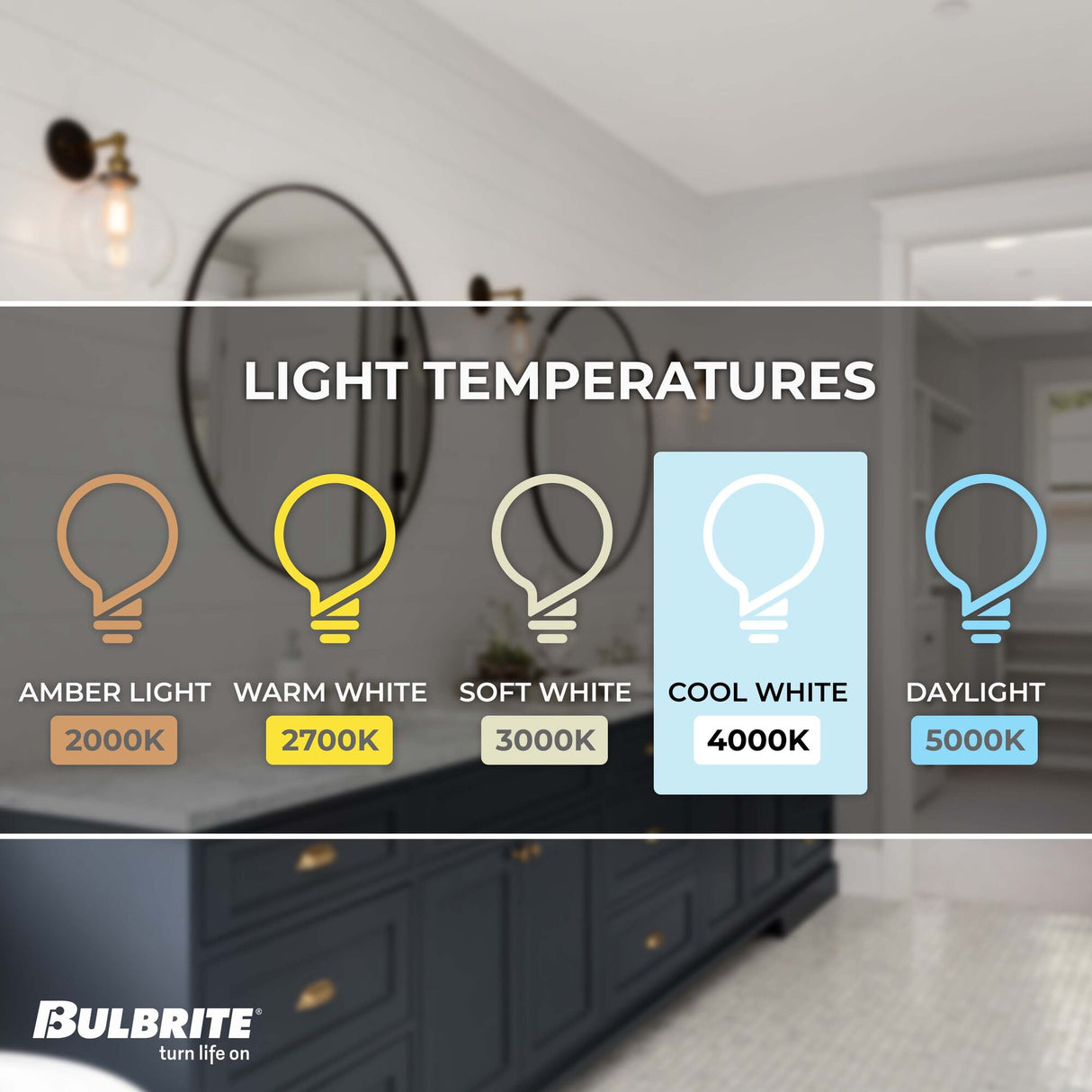 Bulbrite LED Filaments Basics ST18 Light Bulb with E26 base, Clear, 4000K, 800 Lumens
