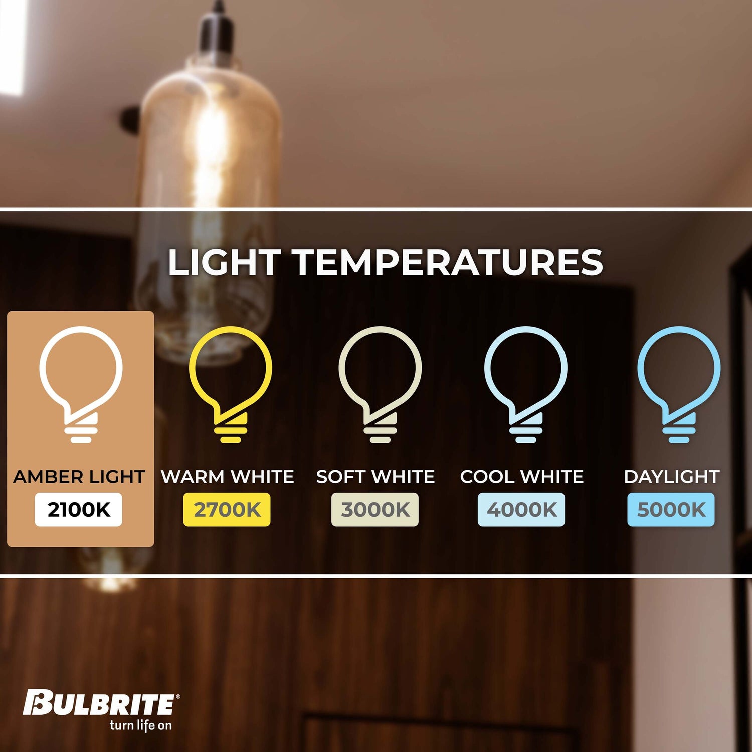 Bulbrite 137501, Grand Nostalgic Collection 60 Watt Dimmable Water Bottle Shape Oversized Decorative Incandescent Light Bulb with Medium (E26) Base, 2200K Amber Light, Antique Glass Finish