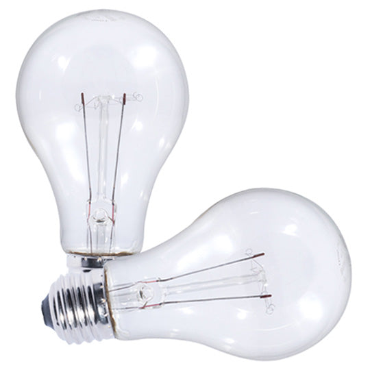 Bulbrite 101025, (2 Pack) Incandescent A-Type A19 Light Bulb with E26 base, 25A/CL, Clear, 2700K