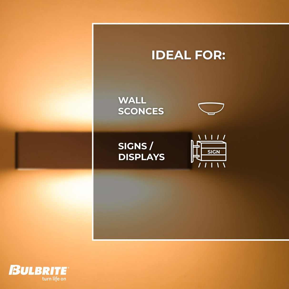 Bulbrite 705140, Incandescent Dimmable 40 Watt T8 Tubular Light Bulbs with Clear Glass Finish and Medium (E26) Screw Base (E26), 2700K (Warm White Light)