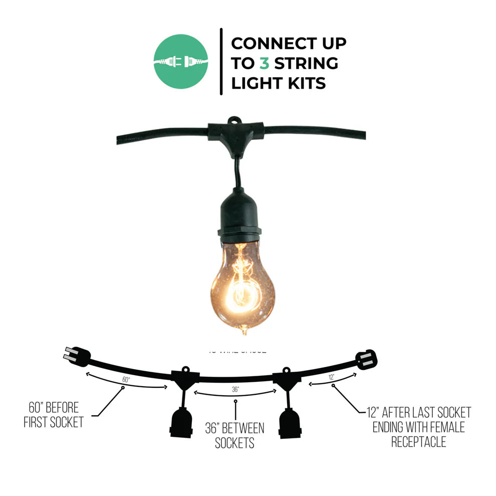 Bulbrite 810004, 48-foot String Light Kit with Nostalgic Loop Filament A19 Incandescent Light Bulbs