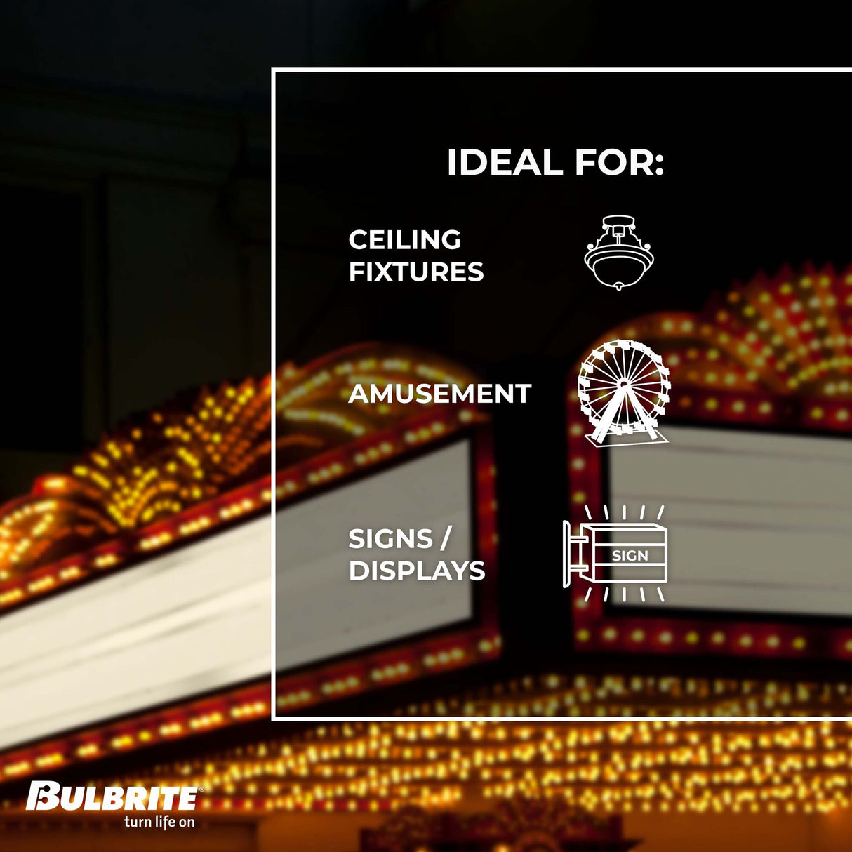 Bulbrite Incandescent Indicator, Sign & Night Light S14 Light Bulb with E26 base, Transparent Purple