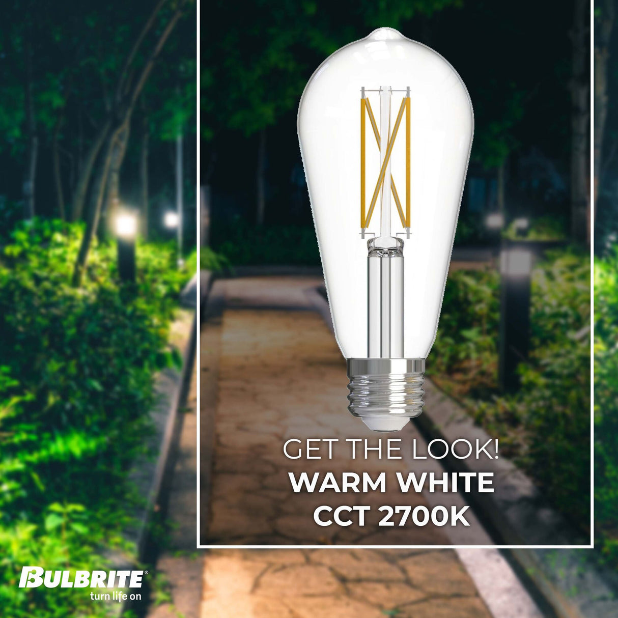 Bulbrite 7 Watt Dimmable Clear ST18 LED Light Bulbs with Medium (E26) Base, 2700K Warm White Light, 800 Lumens