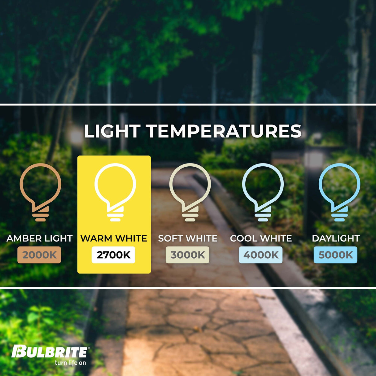 Bulbrite 7 Watt Dimmable Clear ST18 LED Light Bulbs with Medium (E26) Base, 2700K Warm White Light, 800 Lumens