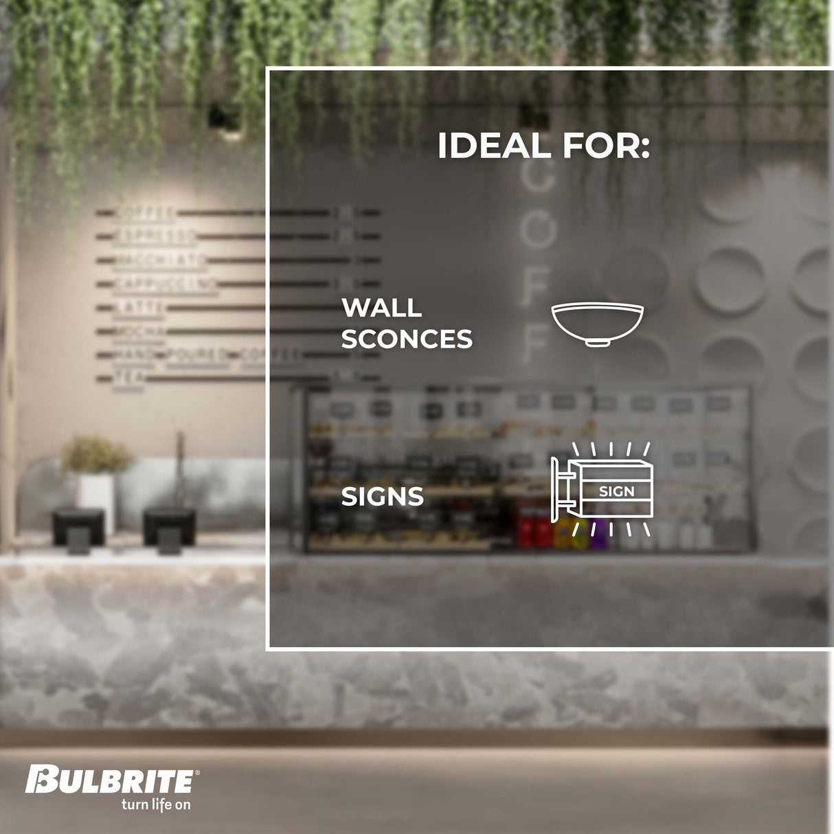 Bulbrite 707125, Incandescent T6 Candelabra Screw Base (E12) Appliance Light Bulb, 25 Watt, Clear