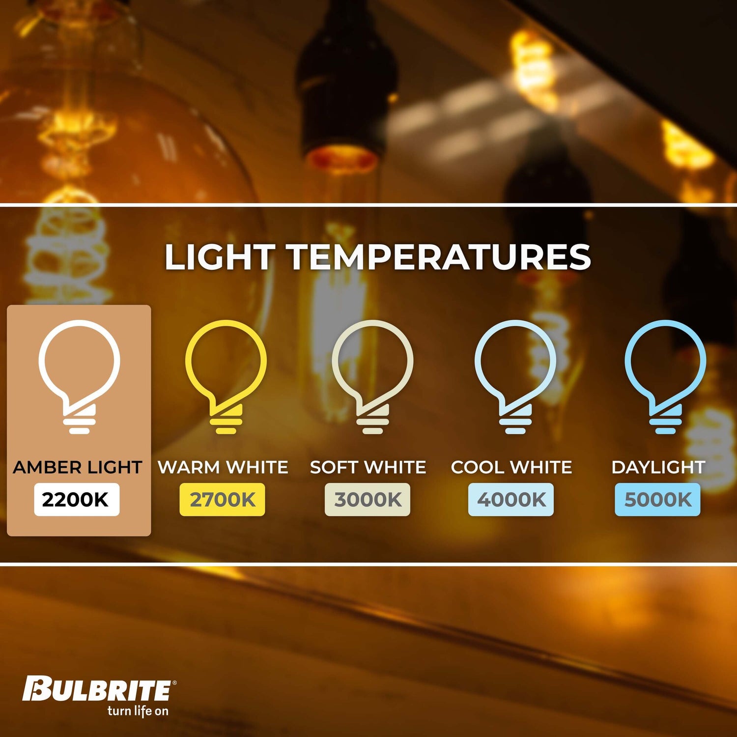 Bulbrite Grand Nostalgic Collection 60 Watt Dimmable BT56  Shape Oversized Decorative Incandescent Light Bulb with Medium (E26) Base, 2200K Amber Light, Antique Glass Finish
