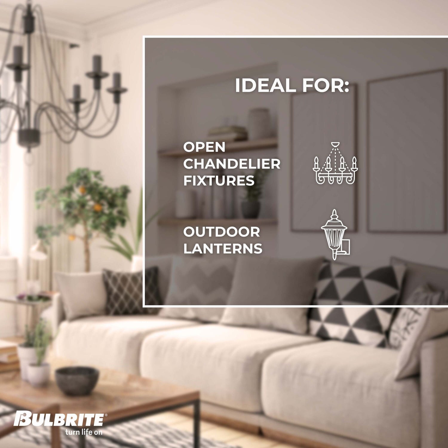 Bulbrite 430025, Spunlite 25 Watt Dimmable C11 Incandescent Light Bulbs with Candelabra (E12) Base, Satin Finish