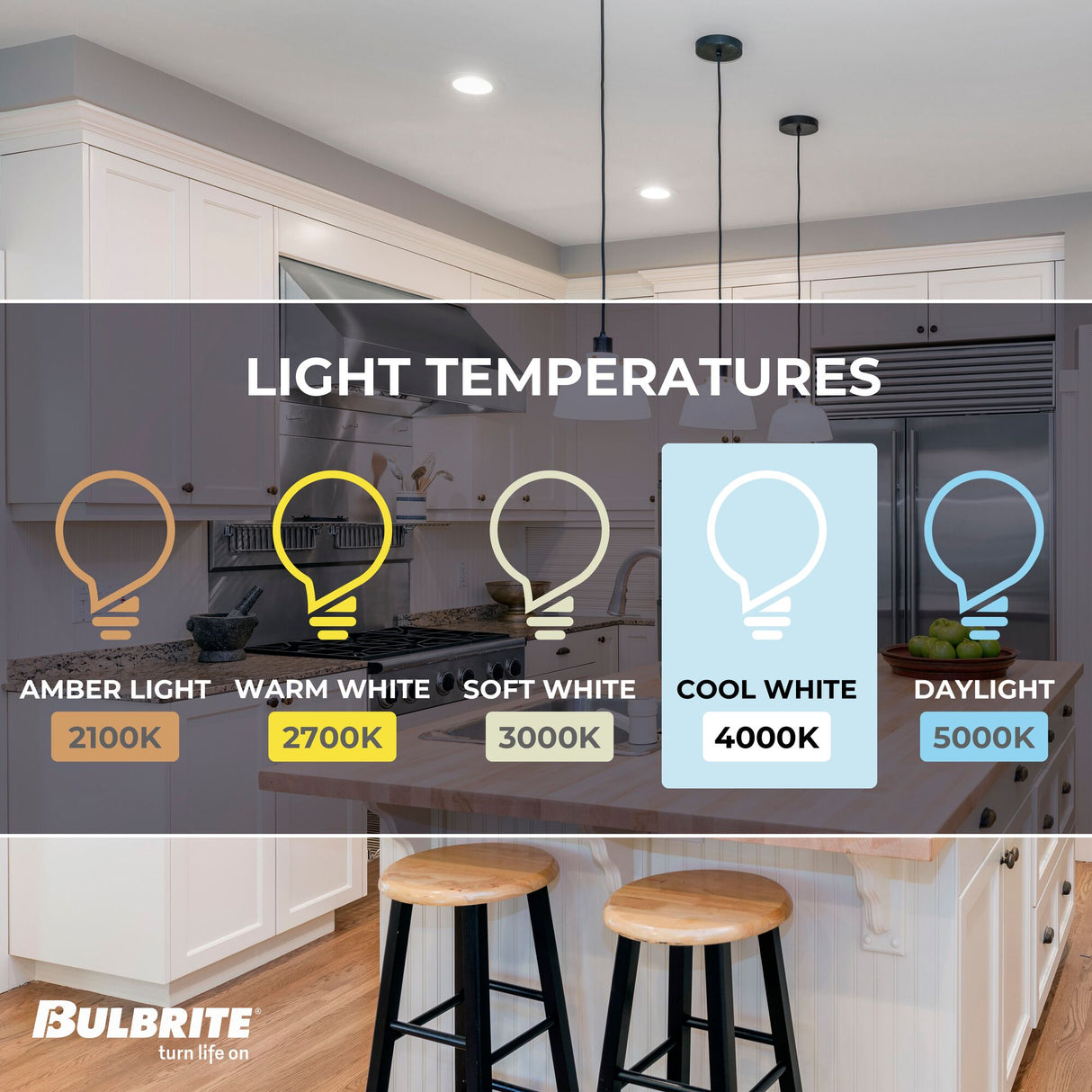 Bulbrite LED Filament 9 Watt Dimmable A19 Light Bulbs with Frost Finish and Medium (E26) Base - 4000K (Cool White Light), 800 Lumens