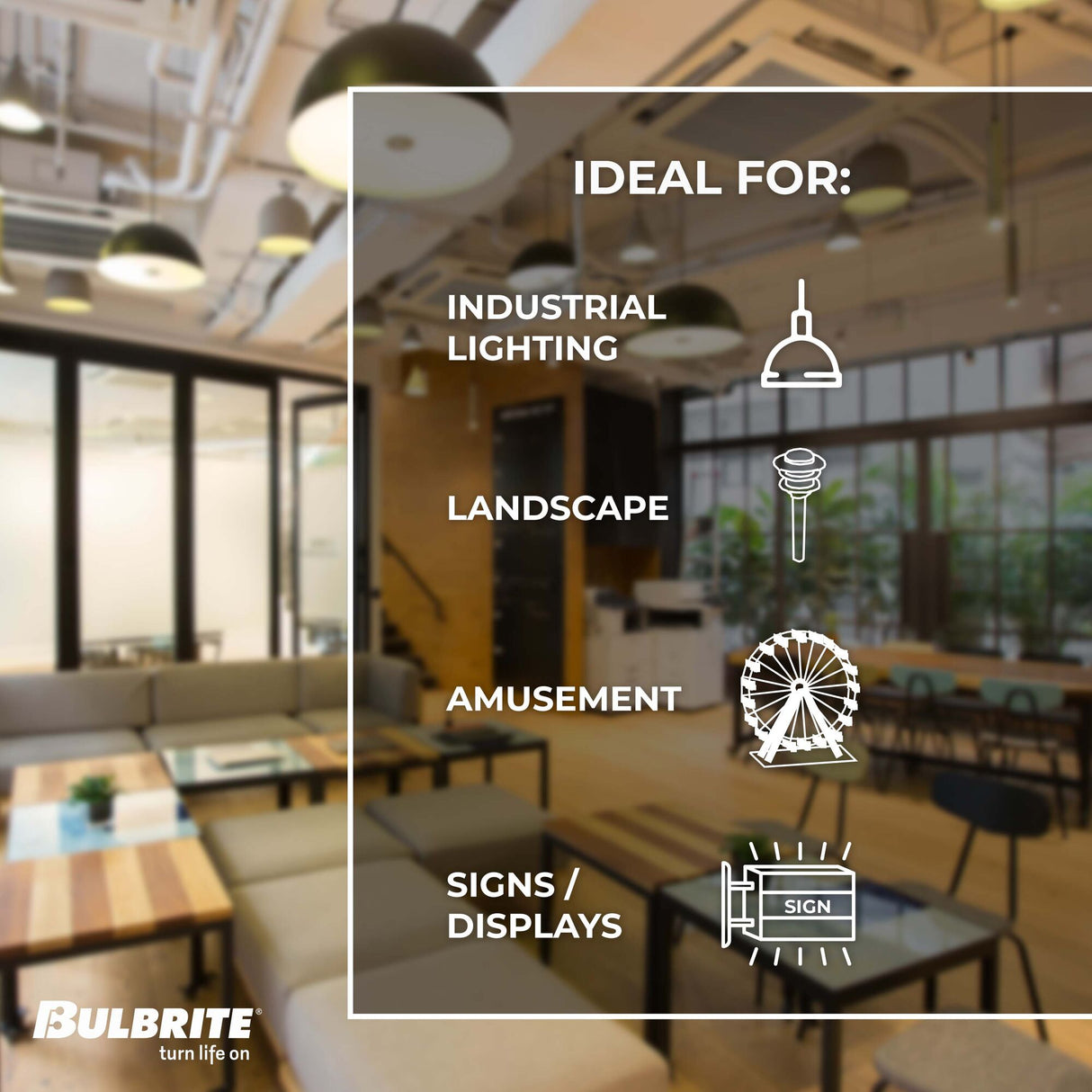 Bulbrite 7 Watt Dimmable Clear ST18 LED Light Bulbs with Medium (E26) Base, 2700K Warm White Light, 800 Lumens