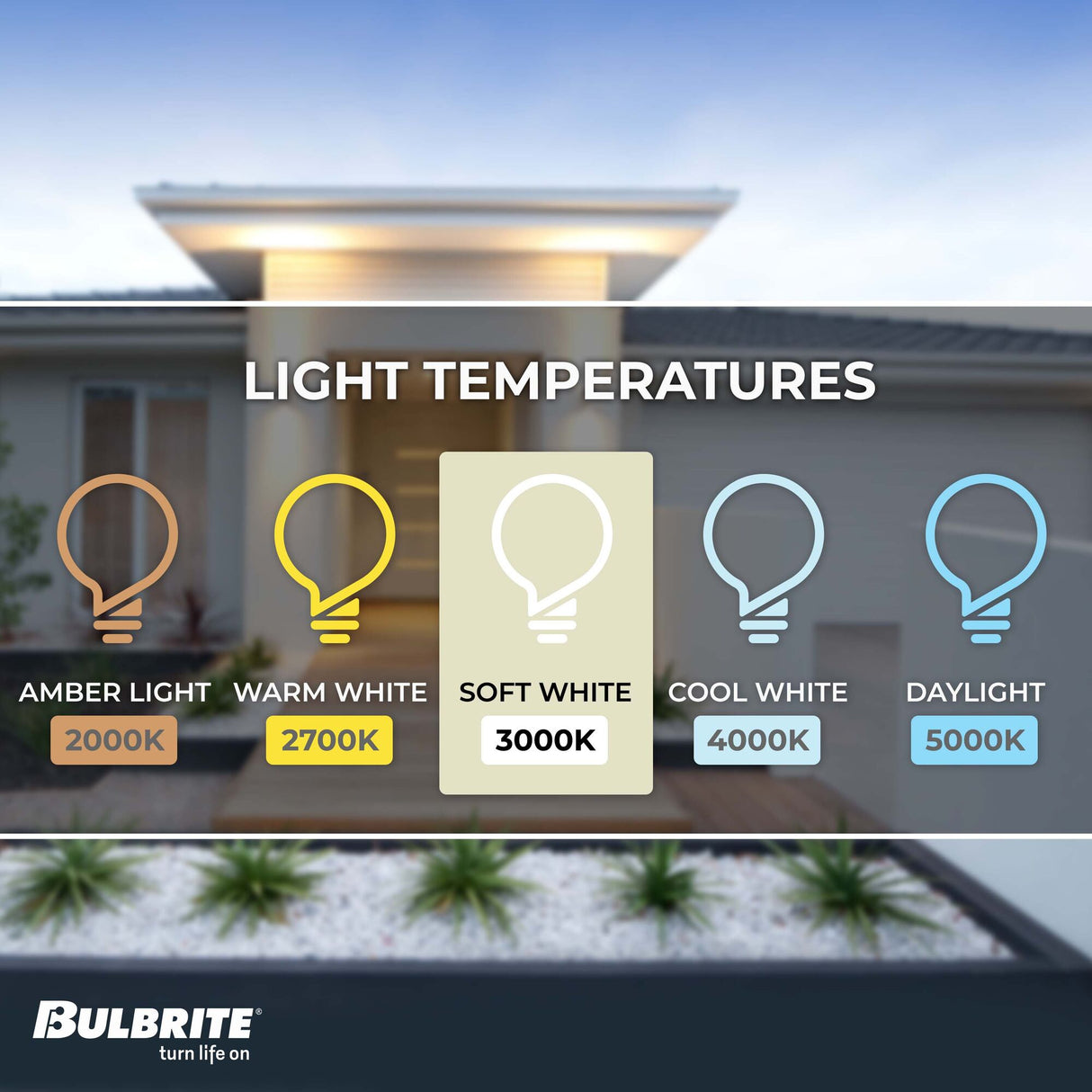 Bulbrite 617035, 35 Watt Dimmable Clear Double Envelope DJD Twist & Lock Bi-Pin (GU10) Halogen Bulb