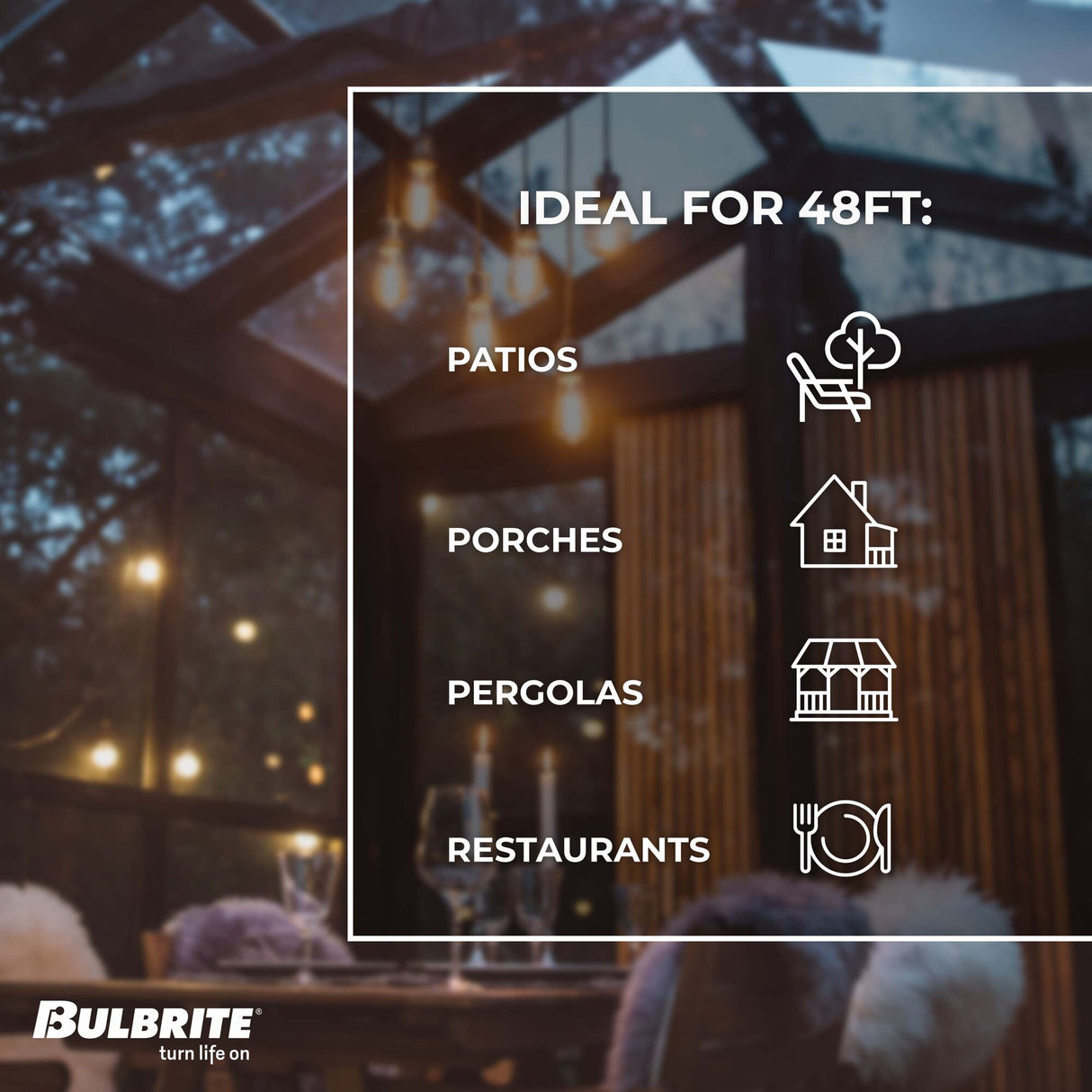 Bulbrite 810004, 48-foot String Light Kit with Nostalgic Loop Filament A19 Incandescent Light Bulbs