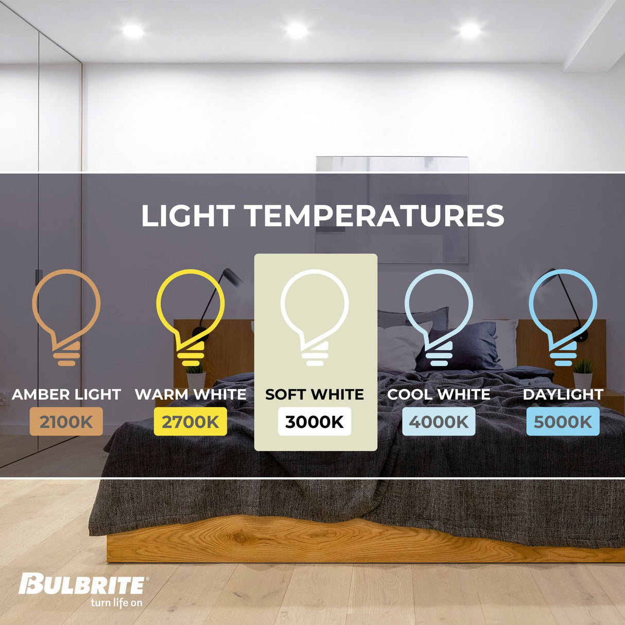 Bulbrite 7 Watt Dimmable MR16 Flood LED Light Bulbs with Bi-Pin (GU5.3) Base, 3000K Soft White Light, 570 Lumens