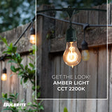 Bulbrite 48-foot String Light Kit with Nostalgic Loop Filament A19 Incandescent Light Bulbs