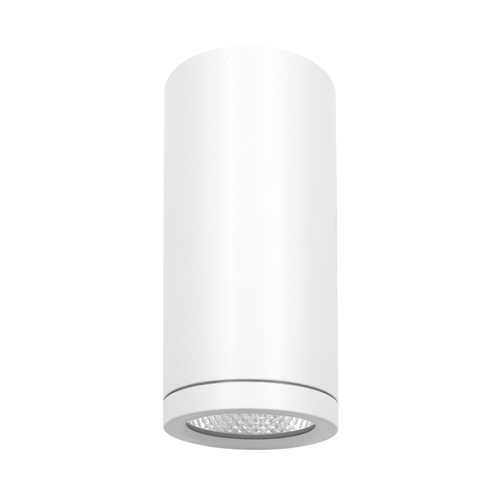 Luxrite LR43720 2.5" Cylinder System, Light, - 5 CCT Selectable, White Finish