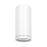 Luxrite LR43720 2.5" Cylinder System, Light, - 5 CCT Selectable, White Finish