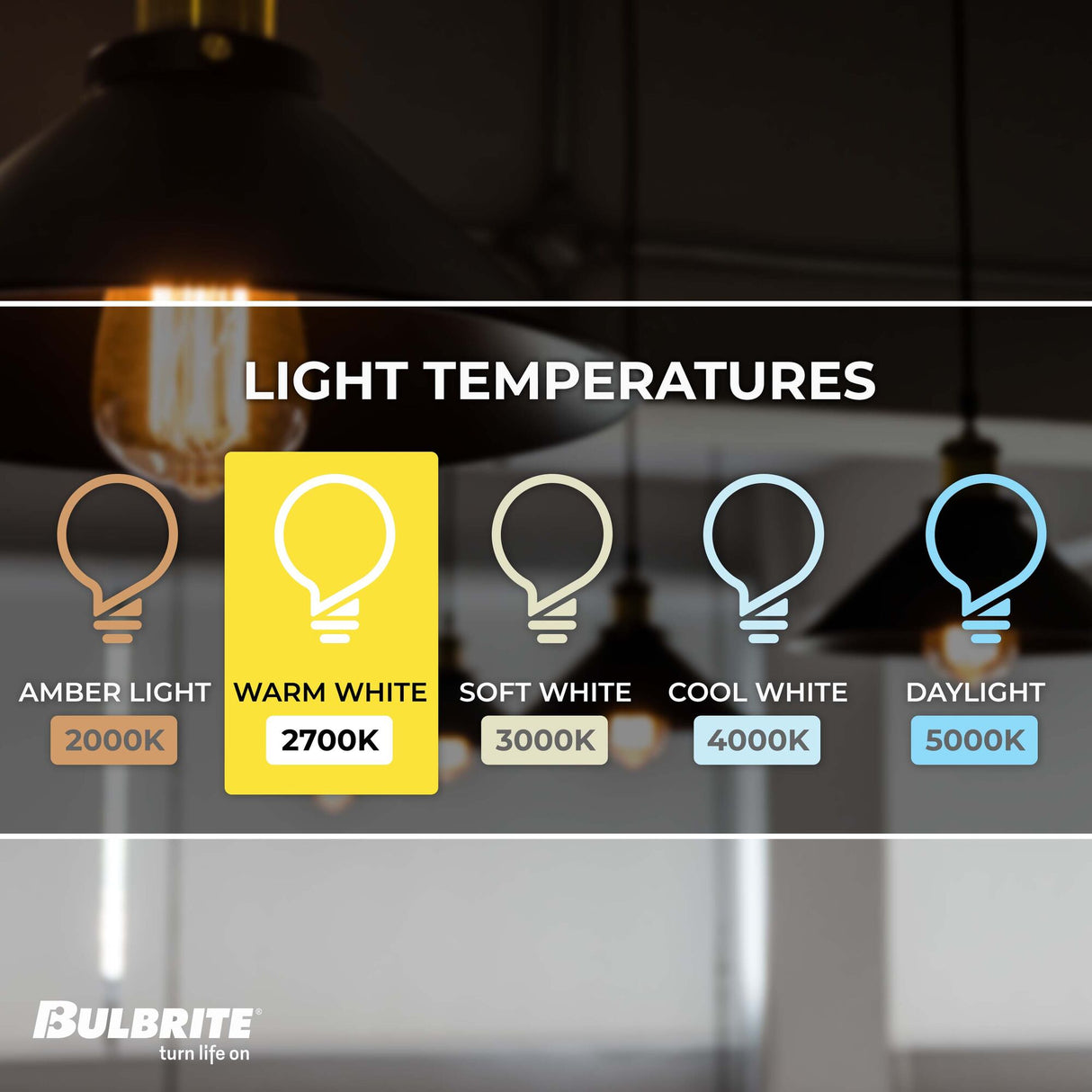 Bulbrite 776767, 8.5 Watt Dimmable Clear ST18 LED Light Bulbs with Medium (E26) Base, 2700K Warm White Light, 850 Lumens