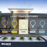 Bulbrite LED 120-Volt Frost T5 Specialty Mini Bulbs with G9 (Bi-Pin) Base, 3.5 Watt, 3000K (Soft White Light)