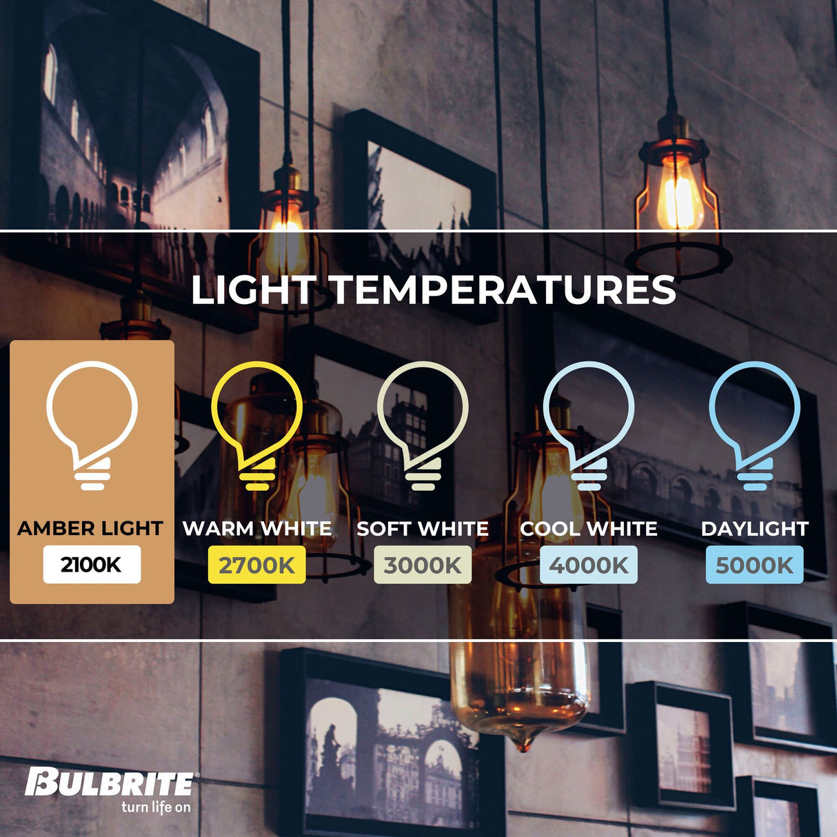 Bulbrite LED Filament 5 Watt Dimmable T8 Light Bulb with Antique Glass Finish and Candelabra (E12) Base - 2100K (Amber Light), 450 Lumens