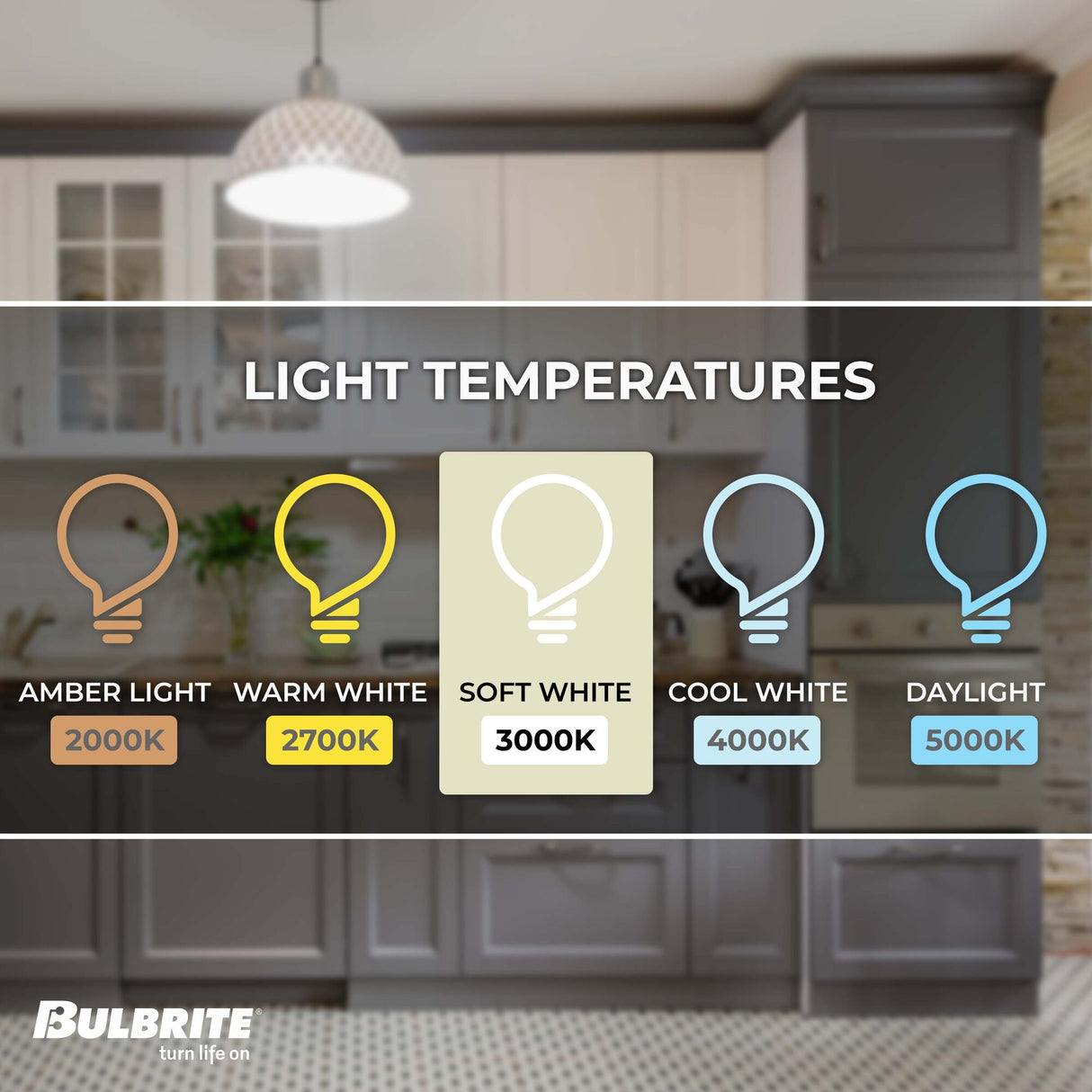 Bulbrite 776899, LED Filament 8.5 Watt Dimmable G40 Light Bulbs with a Milky Finish and Medium (E26) Base - 3000K (Soft White Light), 800 Lumens