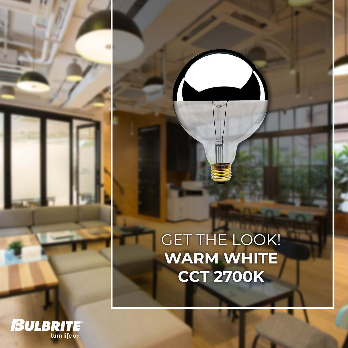 Bulbrite 60 Watt Dimmable Half Chrome G40 Incandescent Light Bulbs with Medium (E26) Base, 2700K Warm White Light