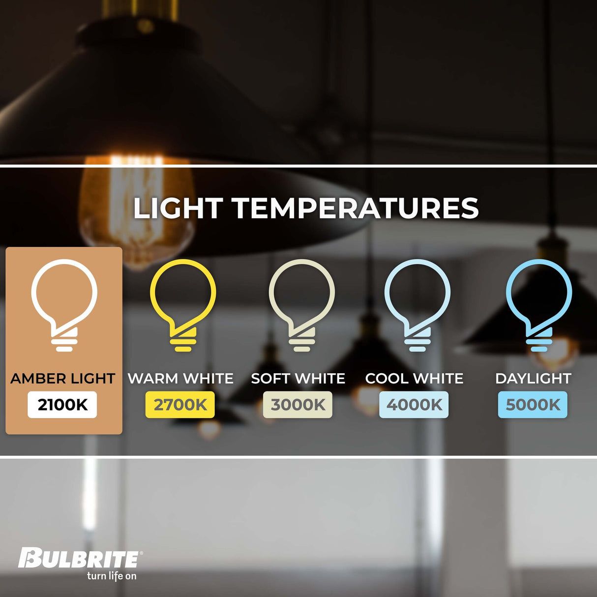 Bulbrite 60 Watt Dimmable Antique ST18 Nostalgic Thread Incandescent Light Bulbs with Medium (E26) Base, 2200K Amber Light