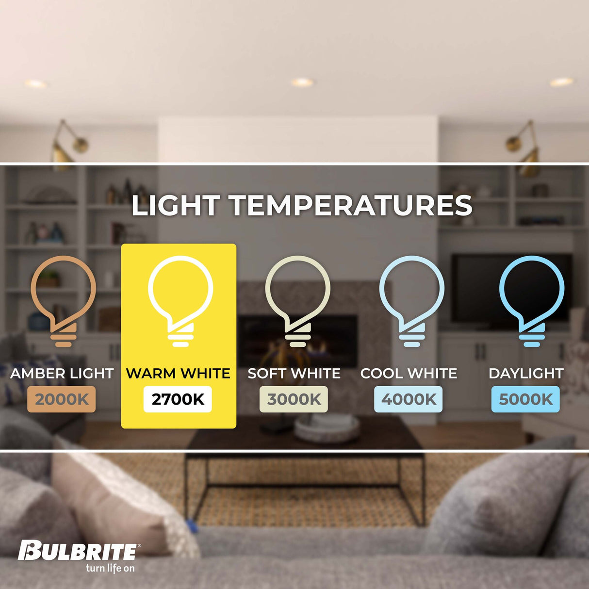 Bulbrite Incandescent T10 Medium Screw Base (E26) Light Bulb, 40 Watt, Frost