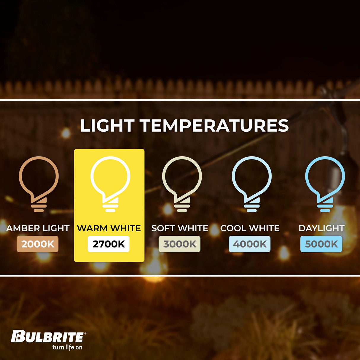 Bulbrite 48-foot String Light Kit with Clear Vintage Style S14 Incandescent Light Bulbs