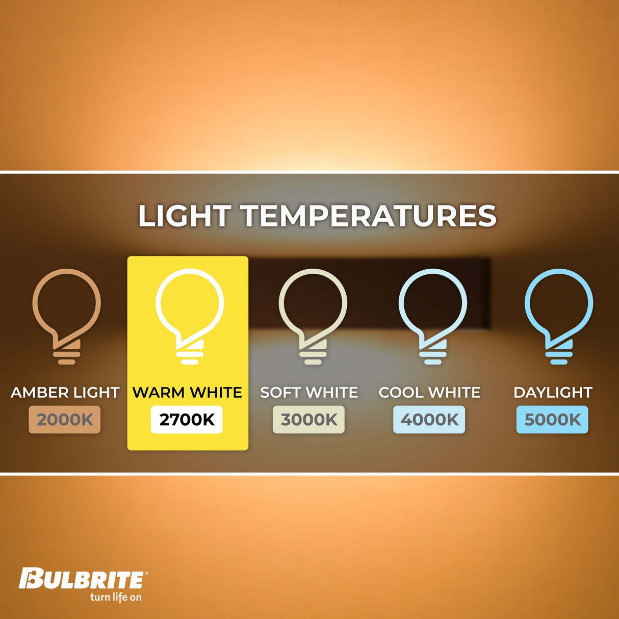 Bulbrite Incandescent T8 Medium Screw Base (E26) Light Bulb, 75 Watt, Frost