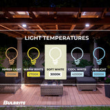 Bulbrite LED Filament 5 Watt Dimmable T6 Light Bulbs with Clear Finish and Candelabra (E12) Base - 3000K (Soft White Light), 550 Lumens