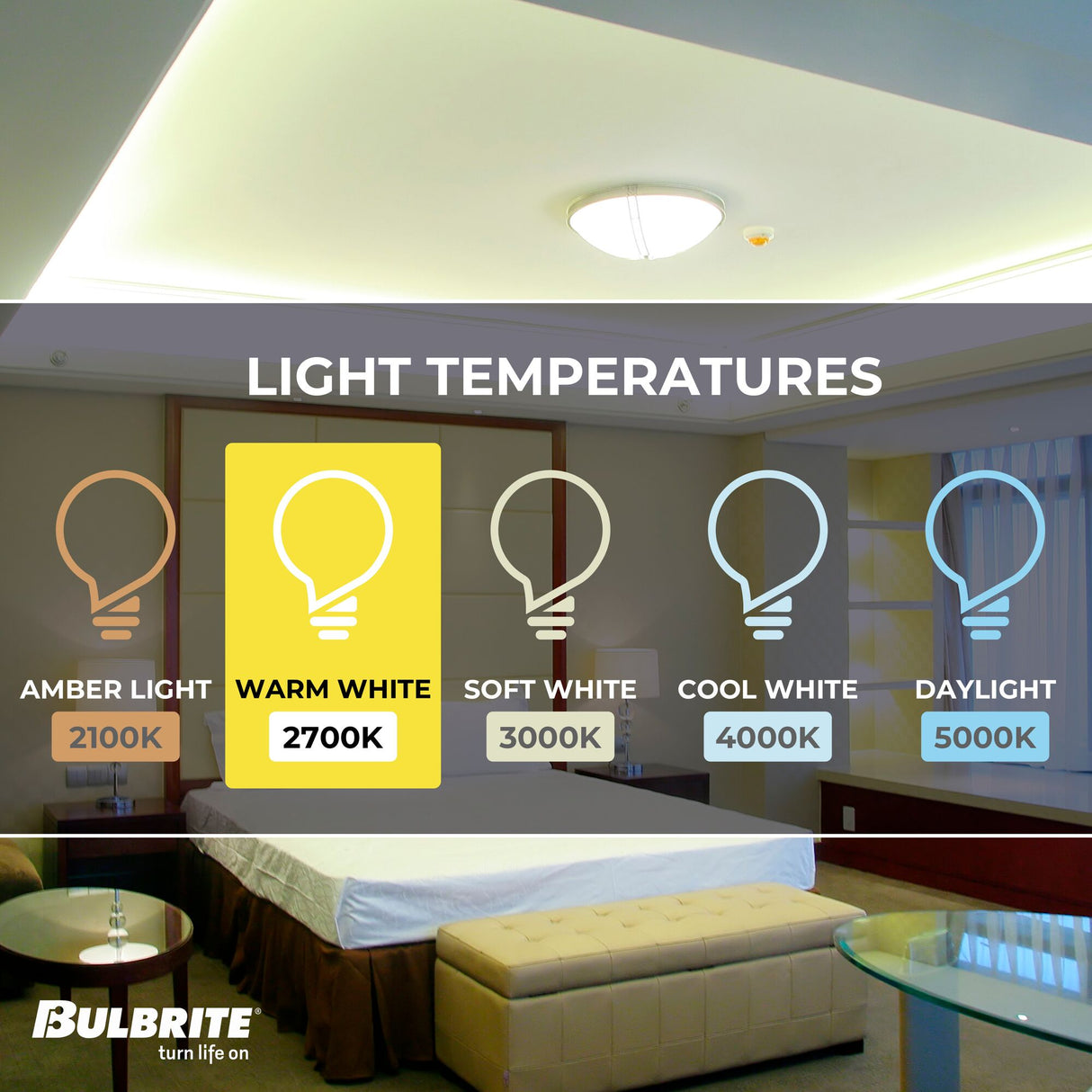 Bulbrite 6.5 Watt 120V Dimmable Clear T6 LED Mini Light Bulbs with Candelabra (E12) Base, 2700K Warm White Light, 700 Lumens