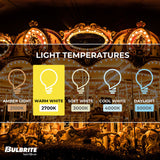 Bulbrite Incandescent High Intensity, Indicator & Sign S6 Light Bulb with E12 base, Clear, 2700K