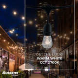 Bulbrite 48-foot String Light Kit with Clear Vintage Style S14 Incandescent Light Bulbs