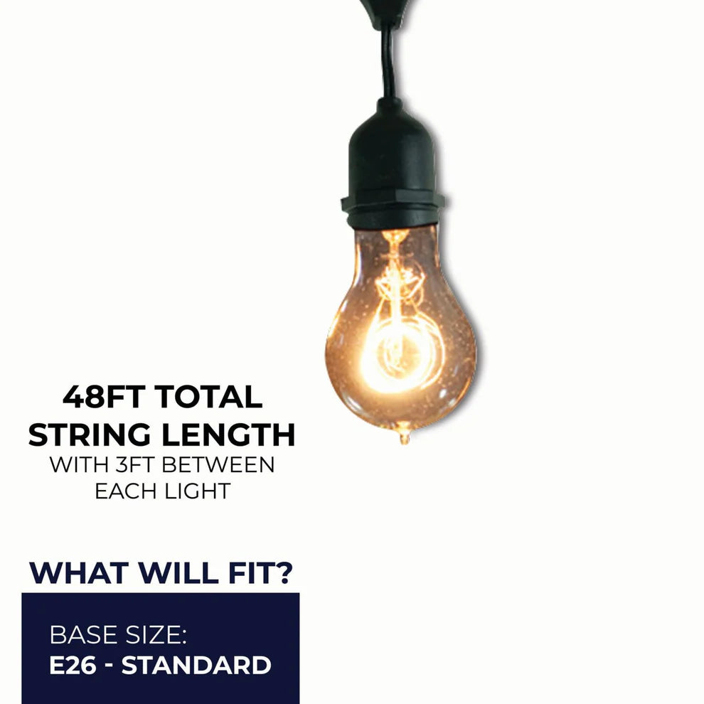 Bulbrite 810004, 48-foot String Light Kit with Nostalgic Loop Filament A19 Incandescent Light Bulbs