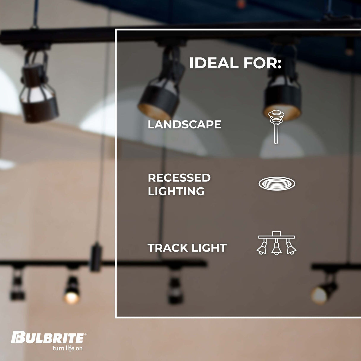 Bulbrite LED PAR30SN Light Bulb with E26 base, 2700K, 800 Lumens