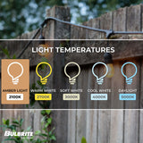 Bulbrite 48-foot String Light Kit with Nostalgic Loop Filament A19 Incandescent Light Bulbs