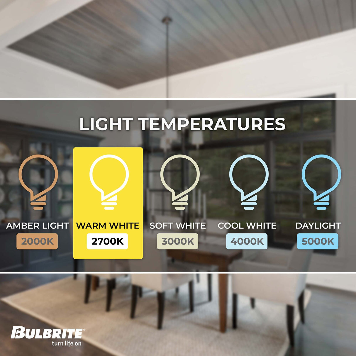 Bulbrite 776723, LED Filament 4.5 Watt Dimmable T8 Light Bulb with Clear Glass Finish and Candelabra (E12) Base - 2700K (Warm White Light), 450 Lumens