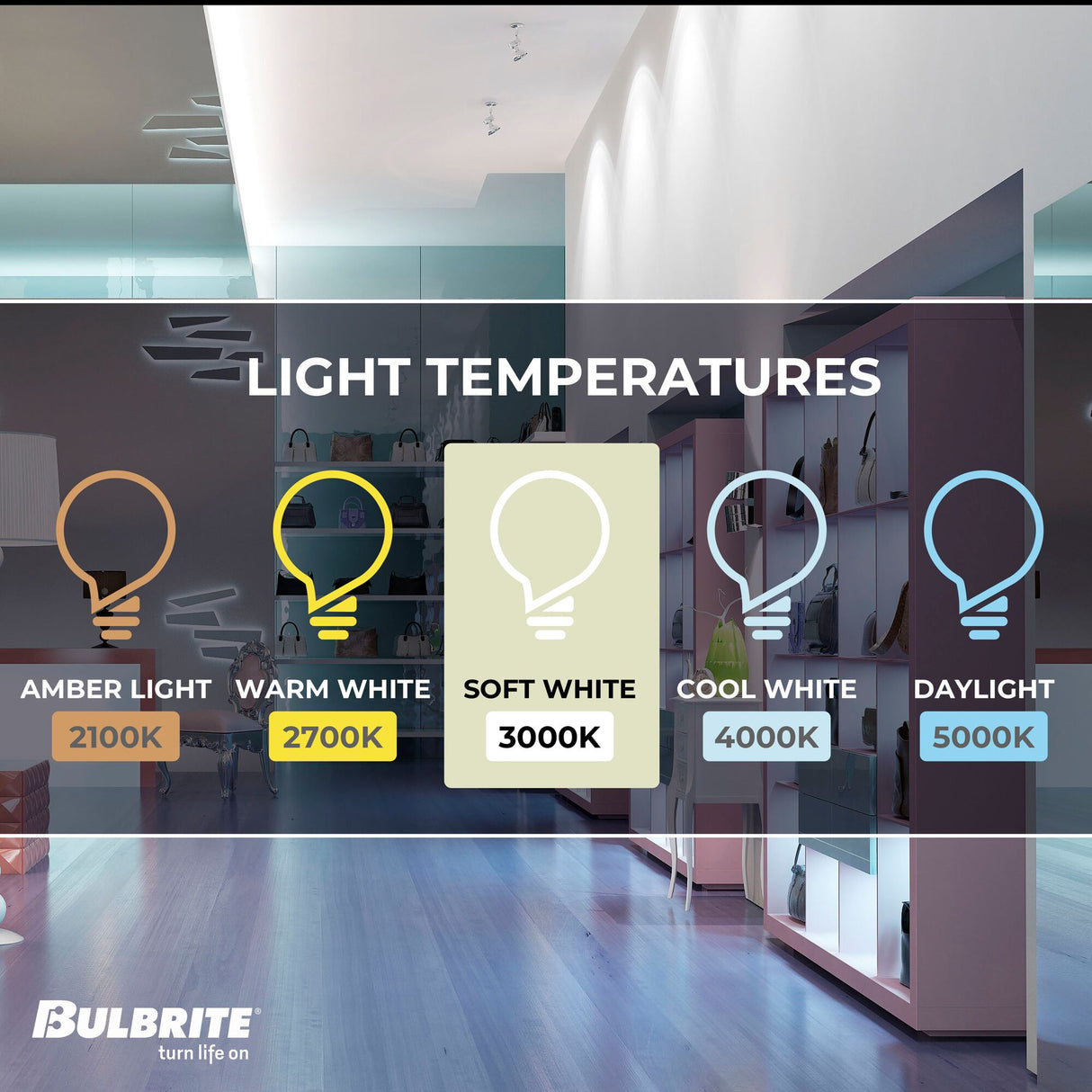 Bulbrite LED Filament 6.5 Watt Dimmable PAR16 Light Bulbs with Frost Glass Finish and Medium (E26) Base - 3000K (Cool White Light), 500 Lumens