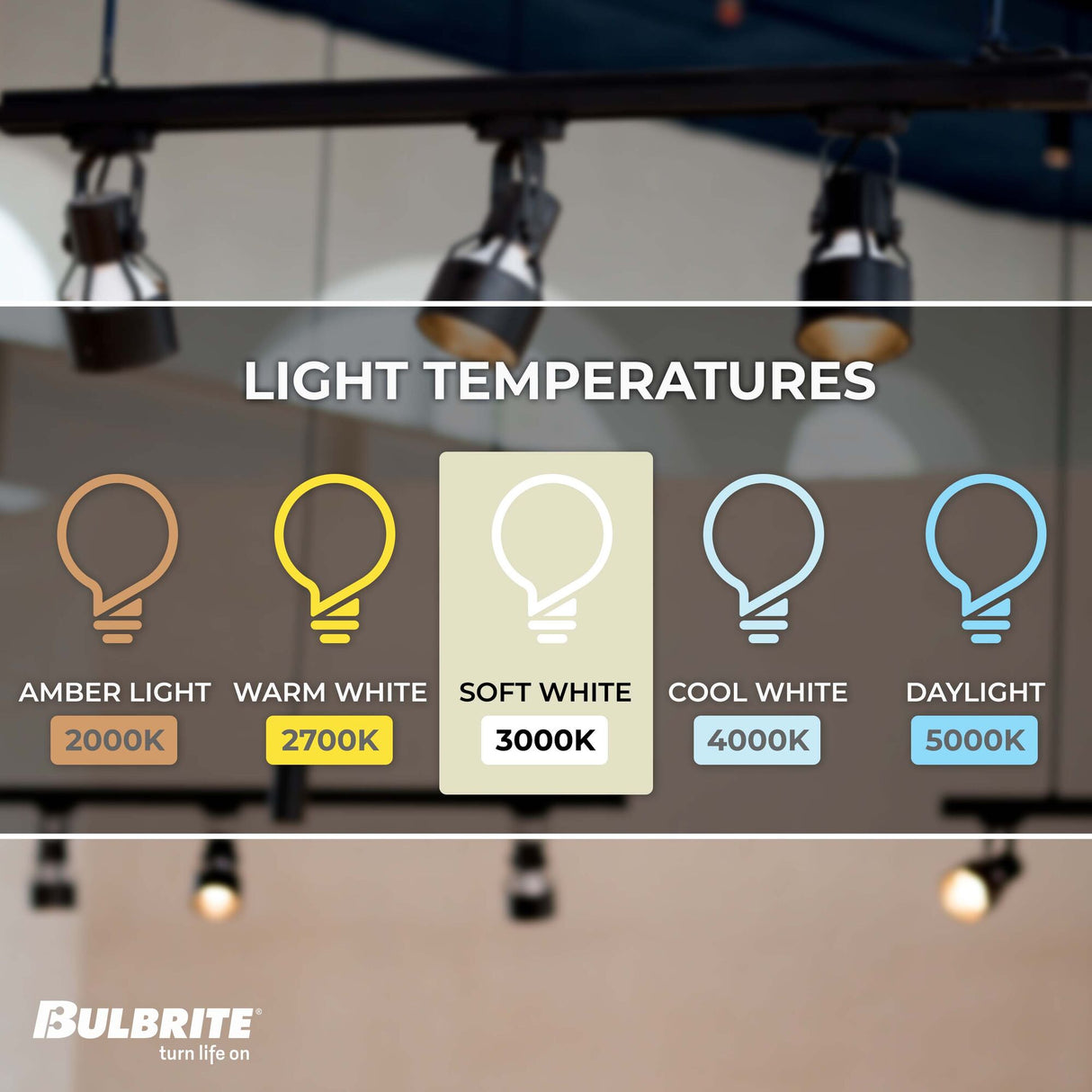 Bulbrite 10 Watt Dimmable Flood PAR30LN Medium (E26) LED Bulb - 800 Lumens, 3000K, and 90 CRI