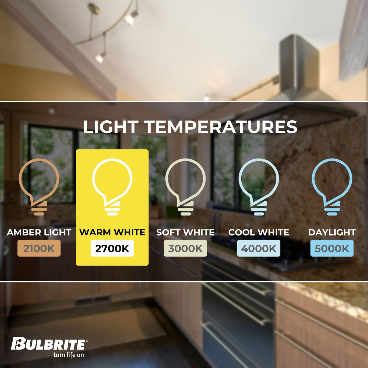 Bulbrite 6.5 Watt Dimmable MR16 Flood LED Light Bulbs with Bi-Pin (GU5.3) Base, 2700K Warm White Light, 500 Lumens