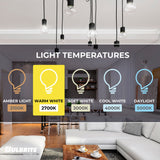 Bulbrite Incandescent Dimmable 25 Watt Globe G40 Light Bulbs with Clear Glass Finish and Medium (E26) Screw Base, 2700K (Warm White Light)