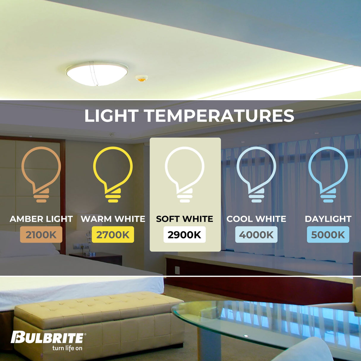 Bulbrite 50 Watt Dimmable Clear T4 Bi-Pin (GY8) Halogen Bulb